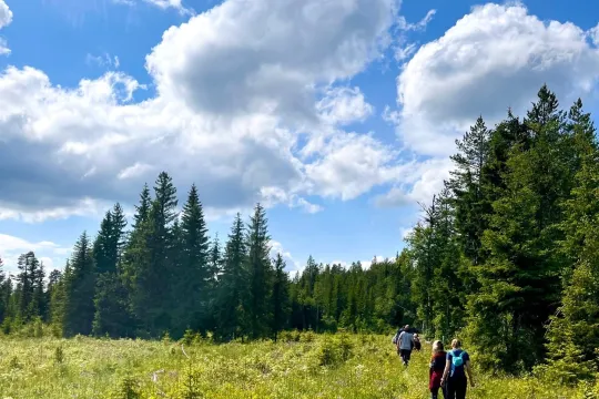 Wondering and wandering writing retreat