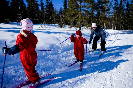 Illustrasjonsbilde av familie på skitur. 
