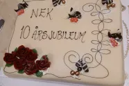 NEK 10 år