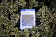 Encyklikaen Laudato si' omgitt av blader